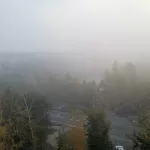 Как в фильме Мгла: барнаульцы делятся кадрами утреннего тумана