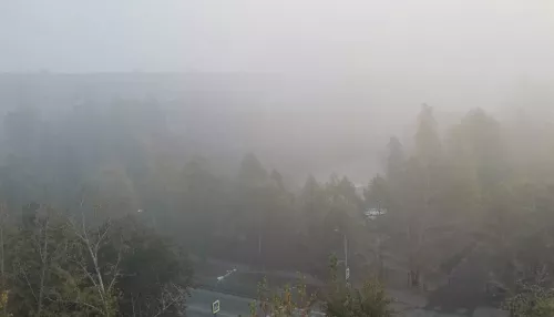 Как в фильме Мгла: барнаульцы делятся кадрами утреннего тумана
