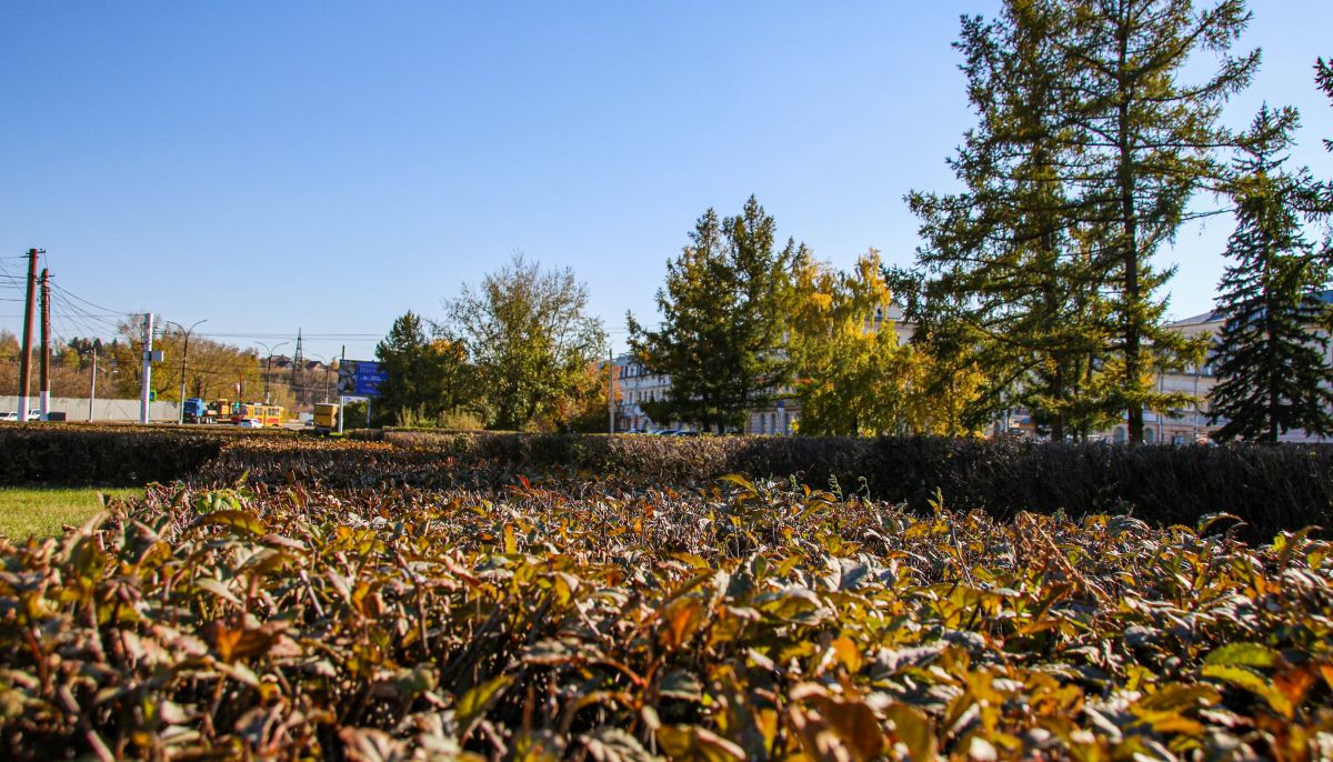 Алтай в октябре. Чуйский тракт природа катунь осень. Погода в алтайском крае. Каким будет октябрь в алтайском крае. Погода на завтра в алтае.