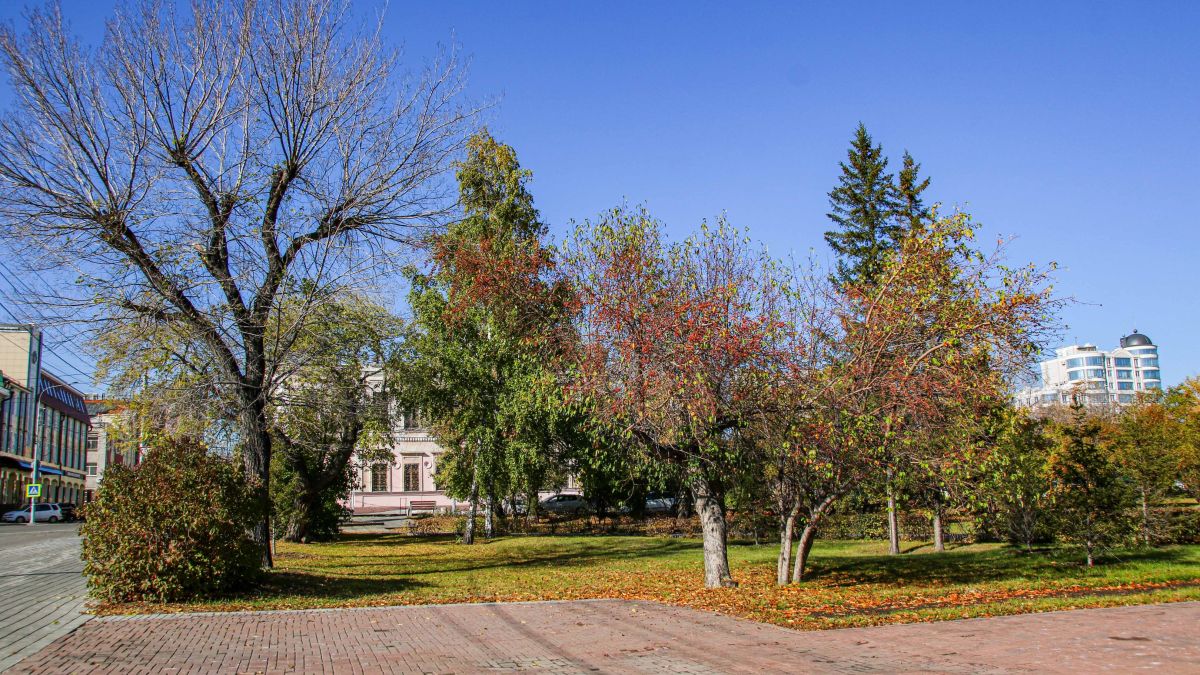 Осень в Барнауле