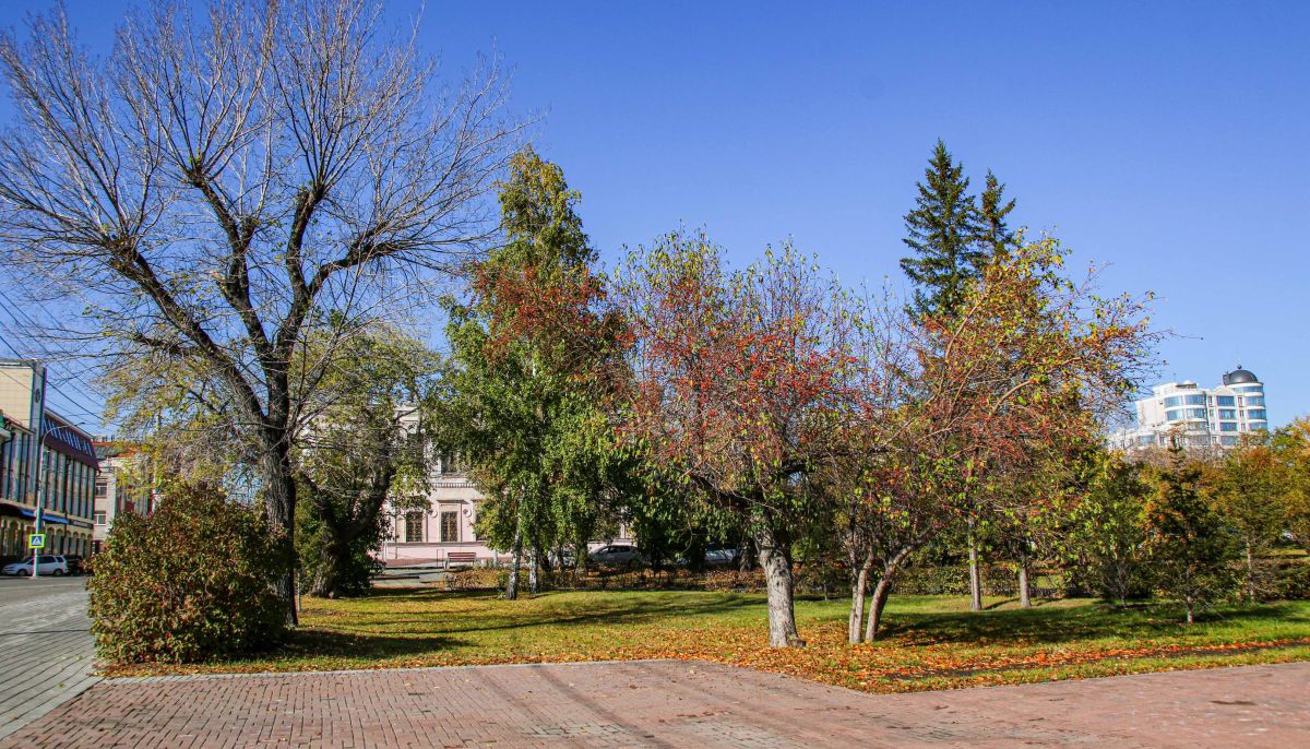 фото площадь свободы в барнауле