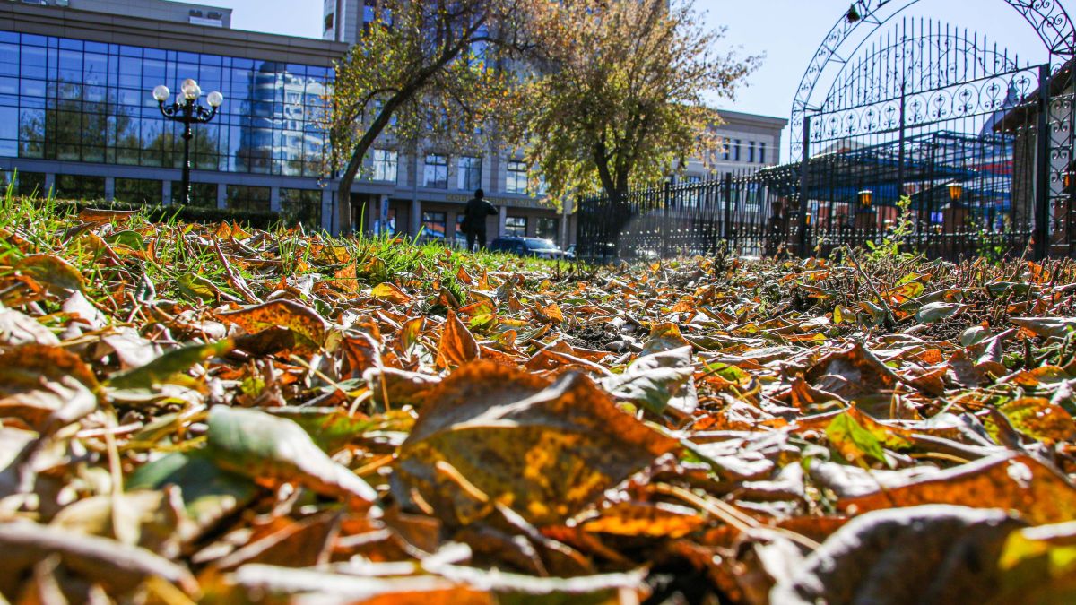 Осень в Барнауле