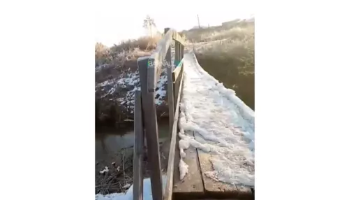 Жители алтайского села жалуются на состояние моста и просят построить новый
