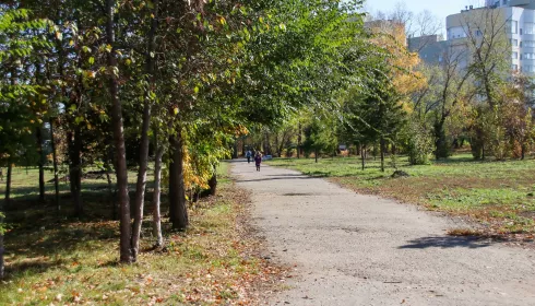 В честь трех богатырей и 300-летия. В Барнауле предлагают построить 10 парков