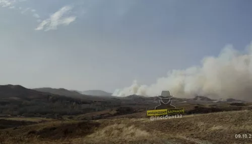 В Змеиногорске произошел крупный ландшафтный пожар
