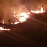 В Алтайском крае ночью произошел пожар на полях близ села