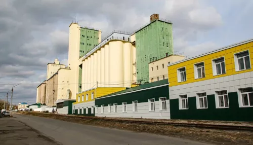 Барнаульский элеватор преобразился в желто-зеленый цвет