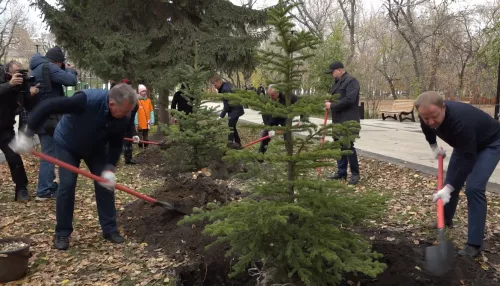 15 молоденьких елей высадили в парке Изумрудный в рамках акции Сохраним лес