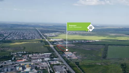 Барнаульский бизнесмен купил федеральные земли рядом с аэропортом