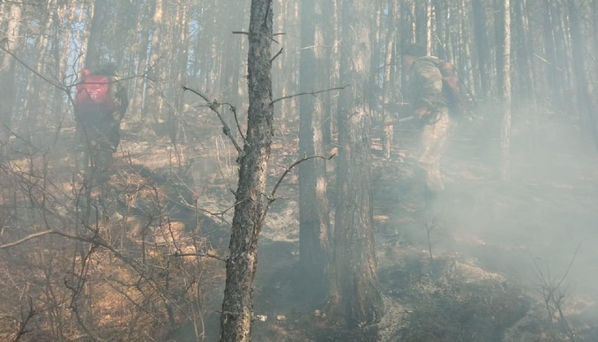 Край твориться. Лес в октябре Алтай. Лес без пожара. 3 Уровень сложности пожара. Что происходит ночью в лесу.