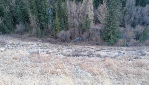 На Алтае слетел в кювет и насмерть разбился водитель иномарки