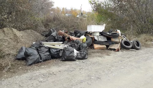 Две свалки с шинами и диванами обнаружили в Барнауле