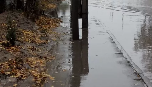 В Барнауле после проливного дождя подтопило улицу