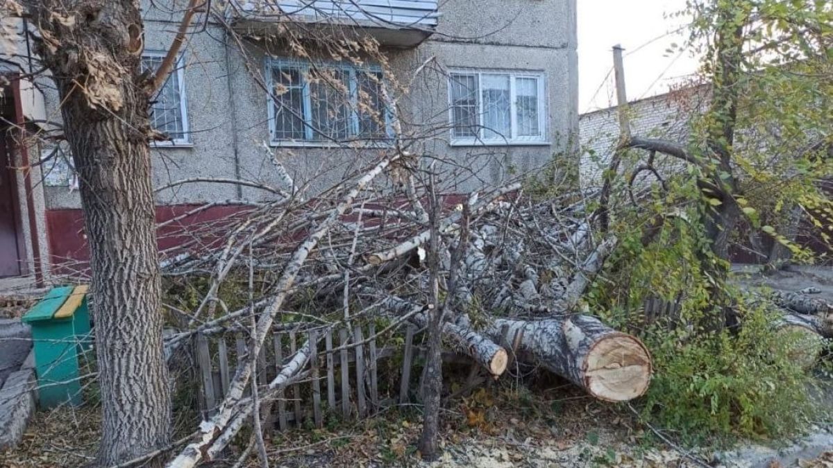 Последствия ветра в Барнауле.