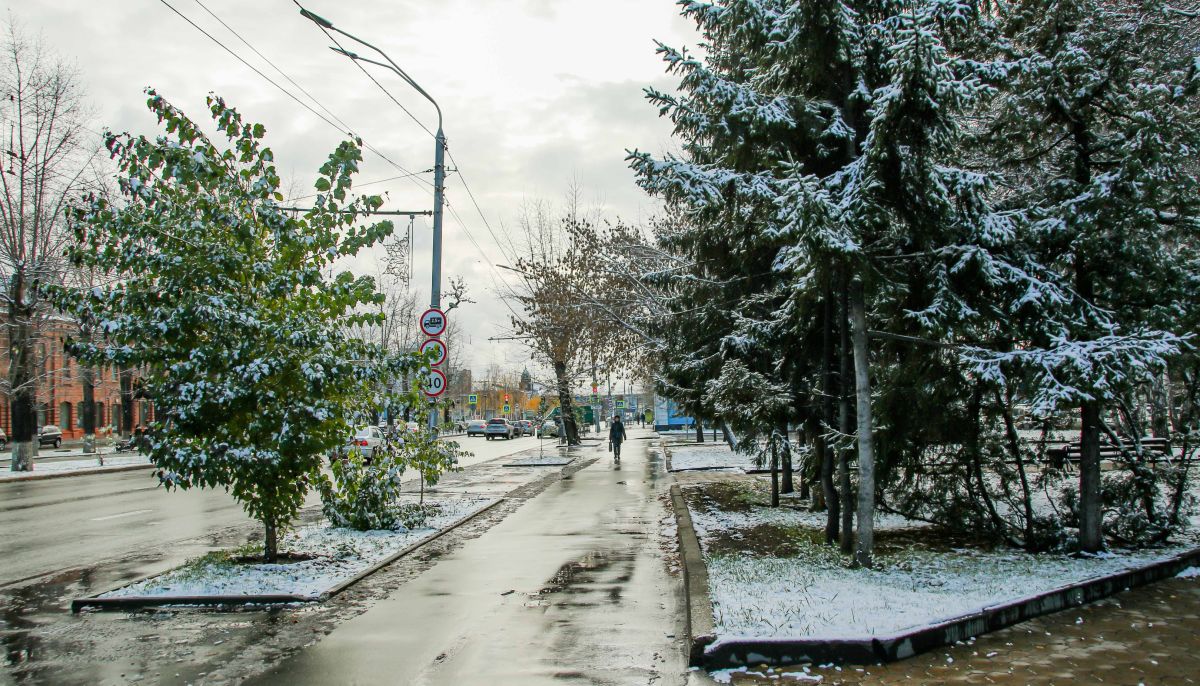 Алтайский край ноябрь. Снег на улице. Снегопад фото. Мокрый снег. Небольшой снег.