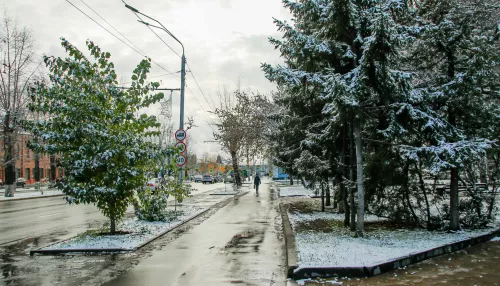 Гололедица и мокрый снег ожидаются 8 ноября в Алтайском крае