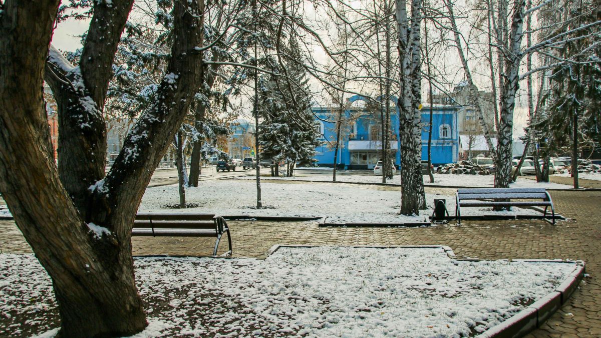 Снег в Барнауле 