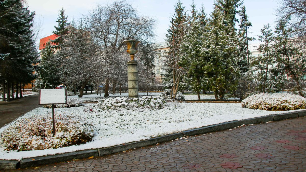 Снег в Барнауле 