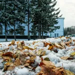 Снег и метели захватят Алтайский край 11 ноября и не отпустят несколько дней