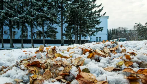 Снег и метели захватят Алтайский край 11 ноября и не отпустят несколько дней