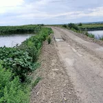 Жители Усть-Калманки перекрывают дорогу мусоровозам с отходами из Алейска