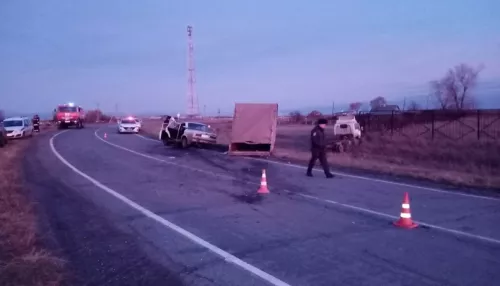 Под Новосибирском двое детей серьезно пострадали в жестком ДТП с грузовиком