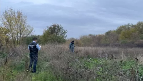 Израненное тело 12-летней школьницы нашли на хуторе в Ростовской области
