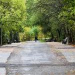 Когда в Барнауле начнут благоустраивать парки в 2023 году и как они изменятся