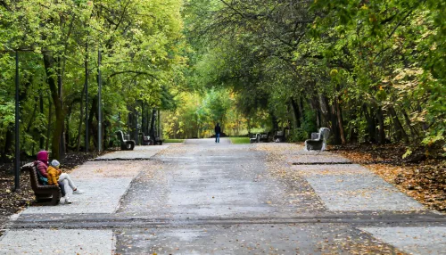 Когда в Барнауле начнут благоустраивать парки в 2023 году и как они изменятся