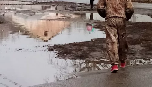 Барнаульцы месят грязь и жалуются на непроходимые дороги