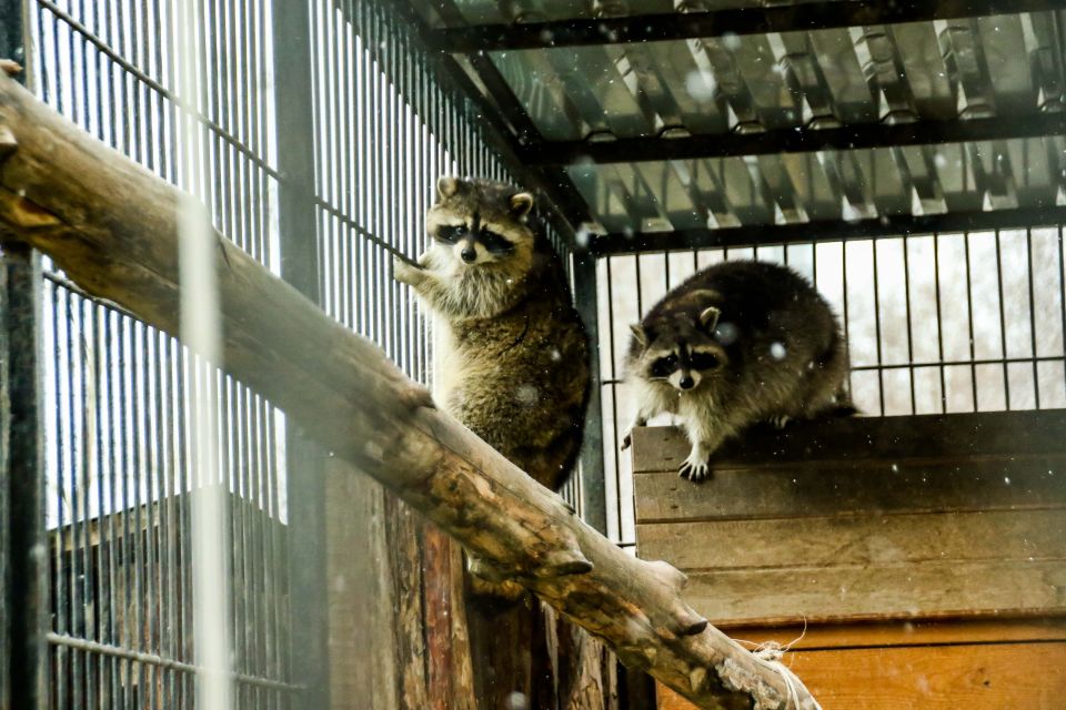 В Барнаульском зоопарке готовятся встречать зиму