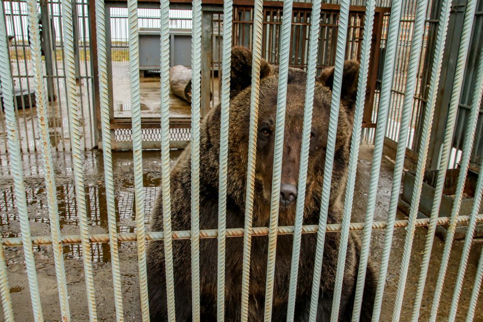 В Барнаульском зоопарке готовятся встречать зиму