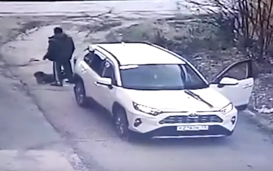 Новосибирский водитель сбил шестилетнего ребенка и оставил его на дороге