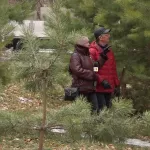 В барнаульской Мизюлинской роще демонтировали большую часть игрового оборудования