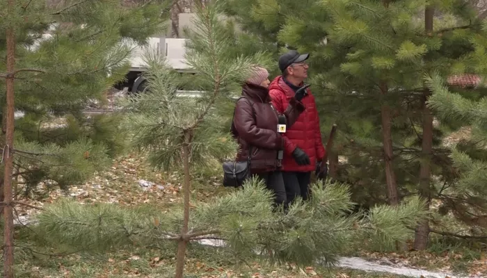 В барнаульской Мизюлинской роще демонтировали большую часть игрового оборудования