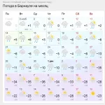 Морозы под -40 градусов прописали Алтайскому краю на старте зимы