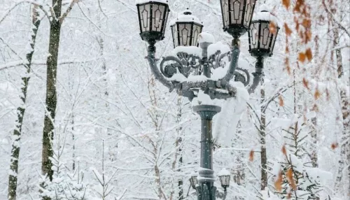Мощный снегопад обрушился на города и районы двух Алтаев
