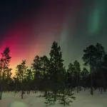 Жители Алтайского края ночью вновь смогут увидеть полярное сияние