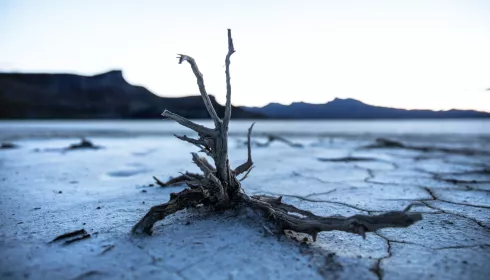 Признаки конца света: что за библейские предсказания неожиданно вспомнили в Сети