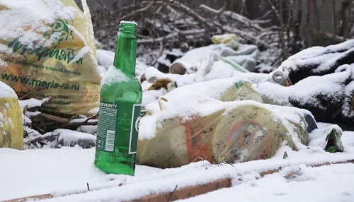 Барнаульцев заваливает мусором из-за отсутствия бака для отходов