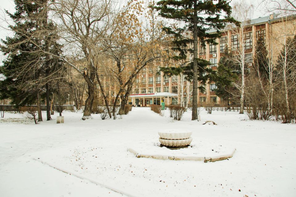 Снегопад в Барнауле