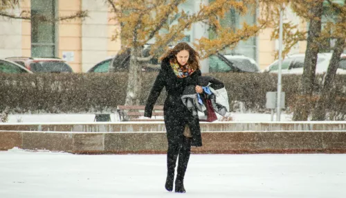 22 декабря Алтайский край находится в условиях шторма из-за снега и ветра