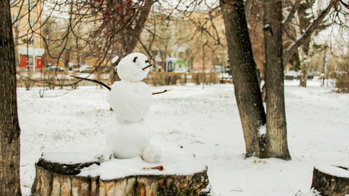 Снегопад в Барнауле 