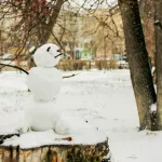 В Алтайском крае к выходным ожидается потепление и снегопады