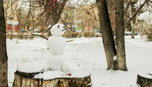 Под белым покрывалом: как Барнаул окрашивается в зимние цвета. Фоторепортаж