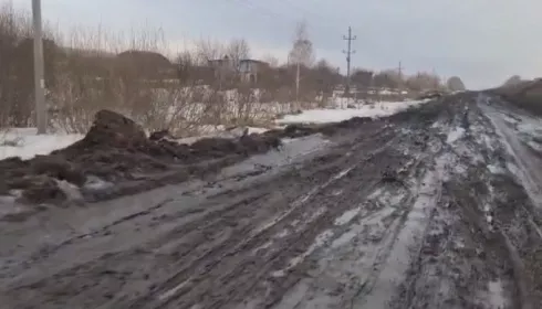 К престижной летной школе под Барнаулом долгие годы нет нормальной дороги