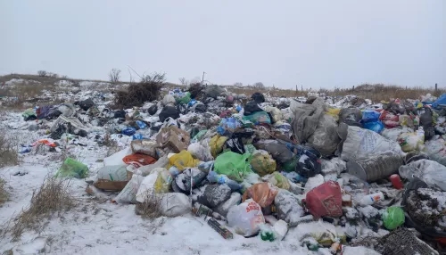На повышенных: как в Усть-Калманке пытались решить судьбу мусорного полигона
