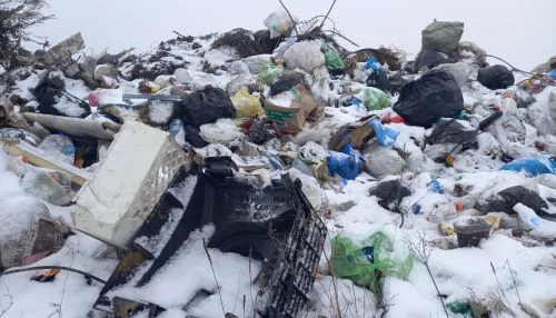 Тысяче неоформленных свалок в Алтайском крае могут продлить жизнь на три года