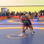 Алтайские спортсмены взяли три медали на соревнованиях по греко-римской борьбе