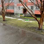 В Барнауле в середине ноября растаял постоянный снежный покров